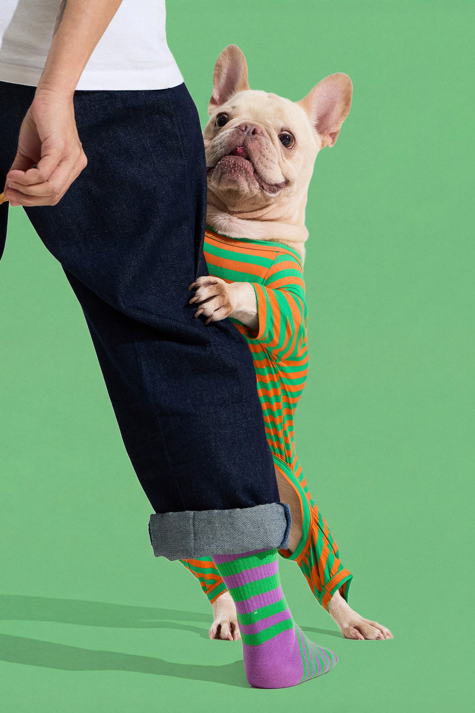 Selenightco x Pat Law Dog Onesie in Carrot