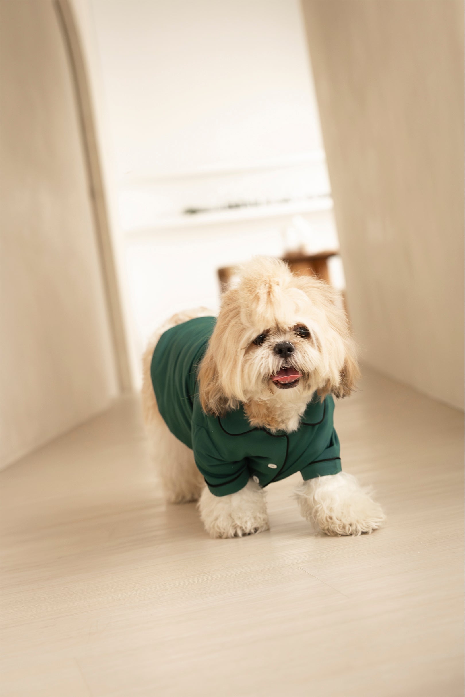 Dog Signature Pyjamas in Pine Green
