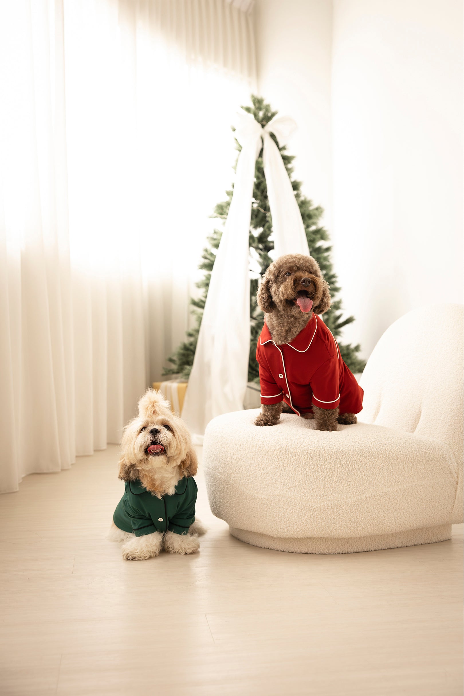 Dog Signature Pyjamas in Merah Putih