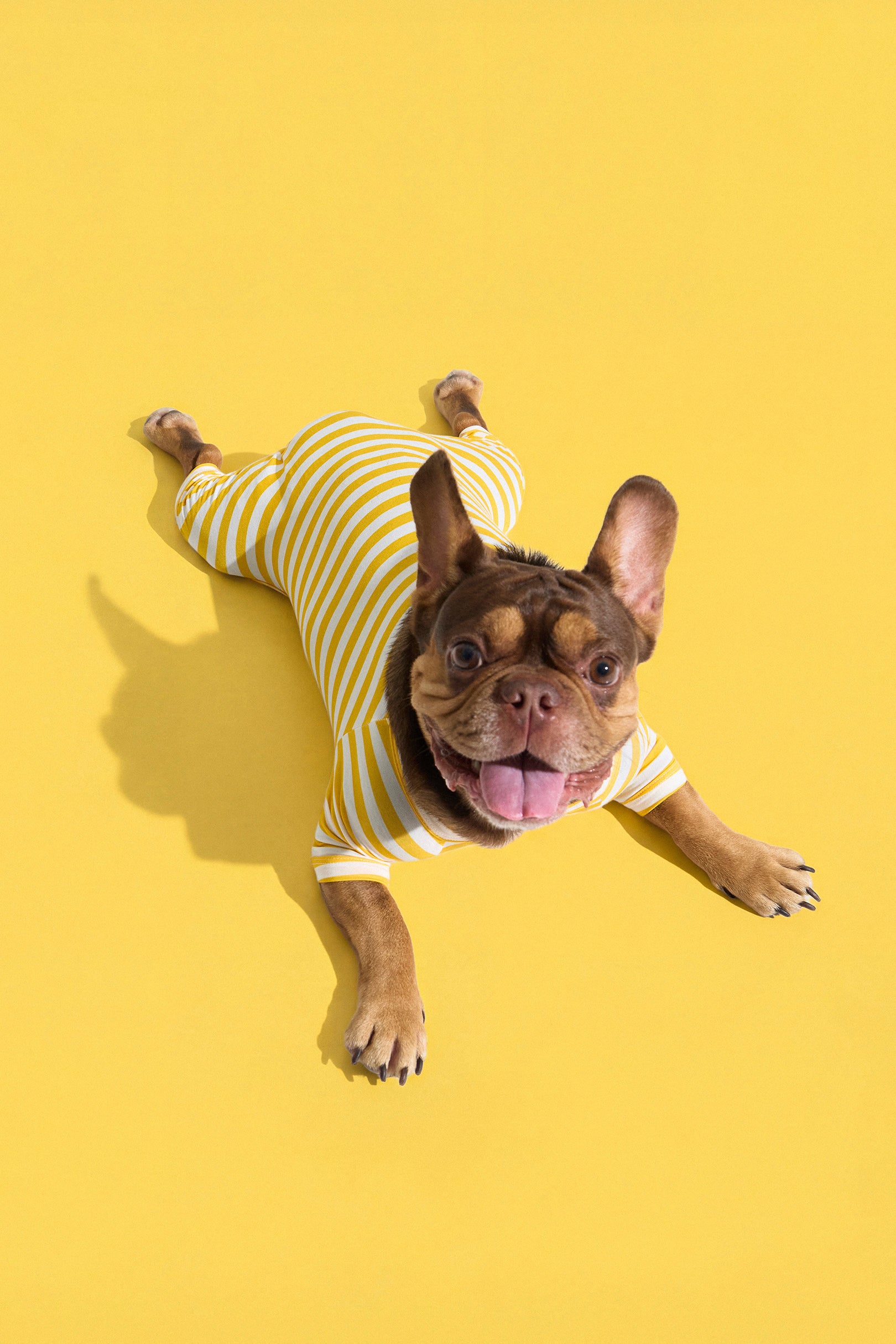 Selenightco x Pat Law Dog Onesie in Banana