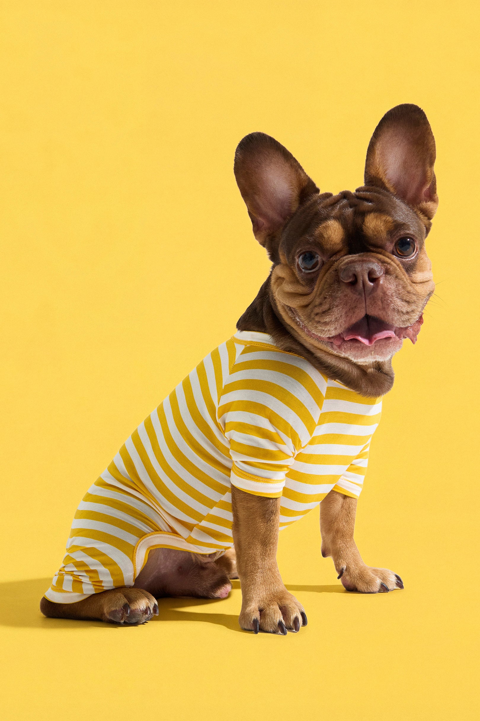 Selenightco x Pat Law Dog Onesie in Banana