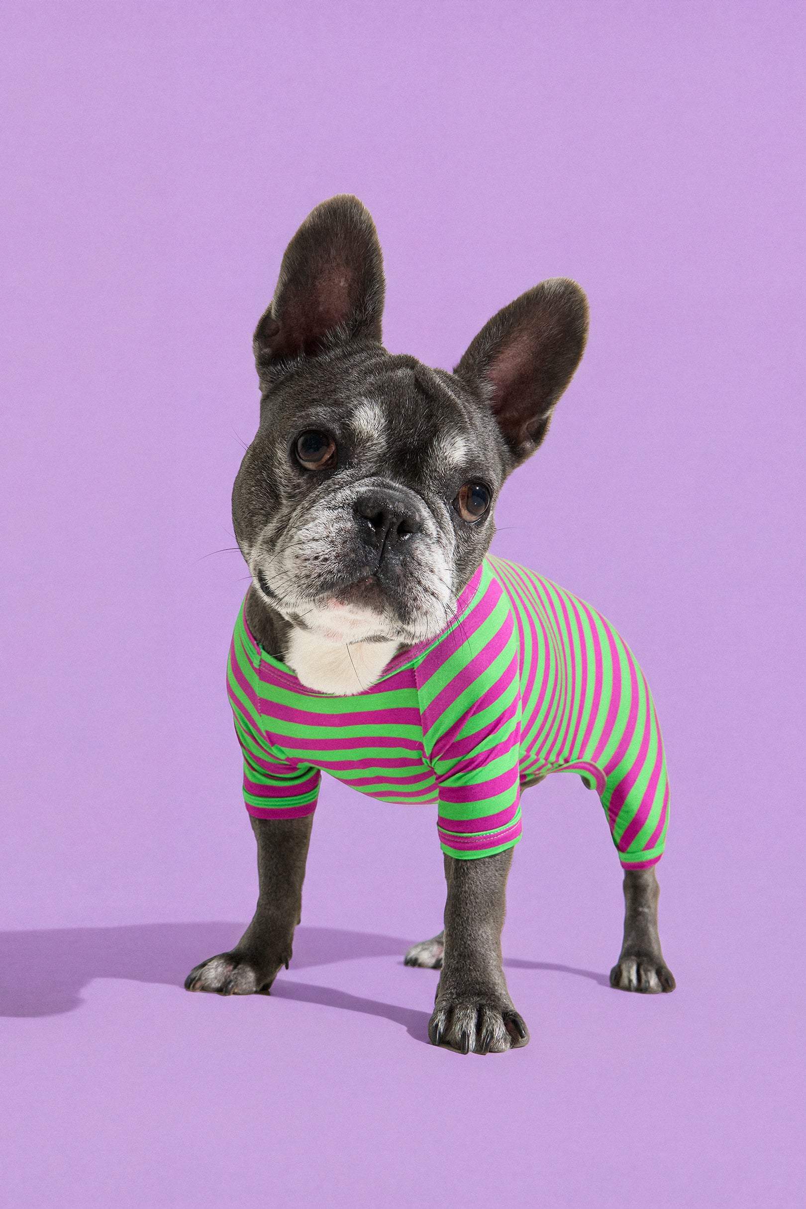 Selenightco x Pat Law Dog Onesie in Eggplant