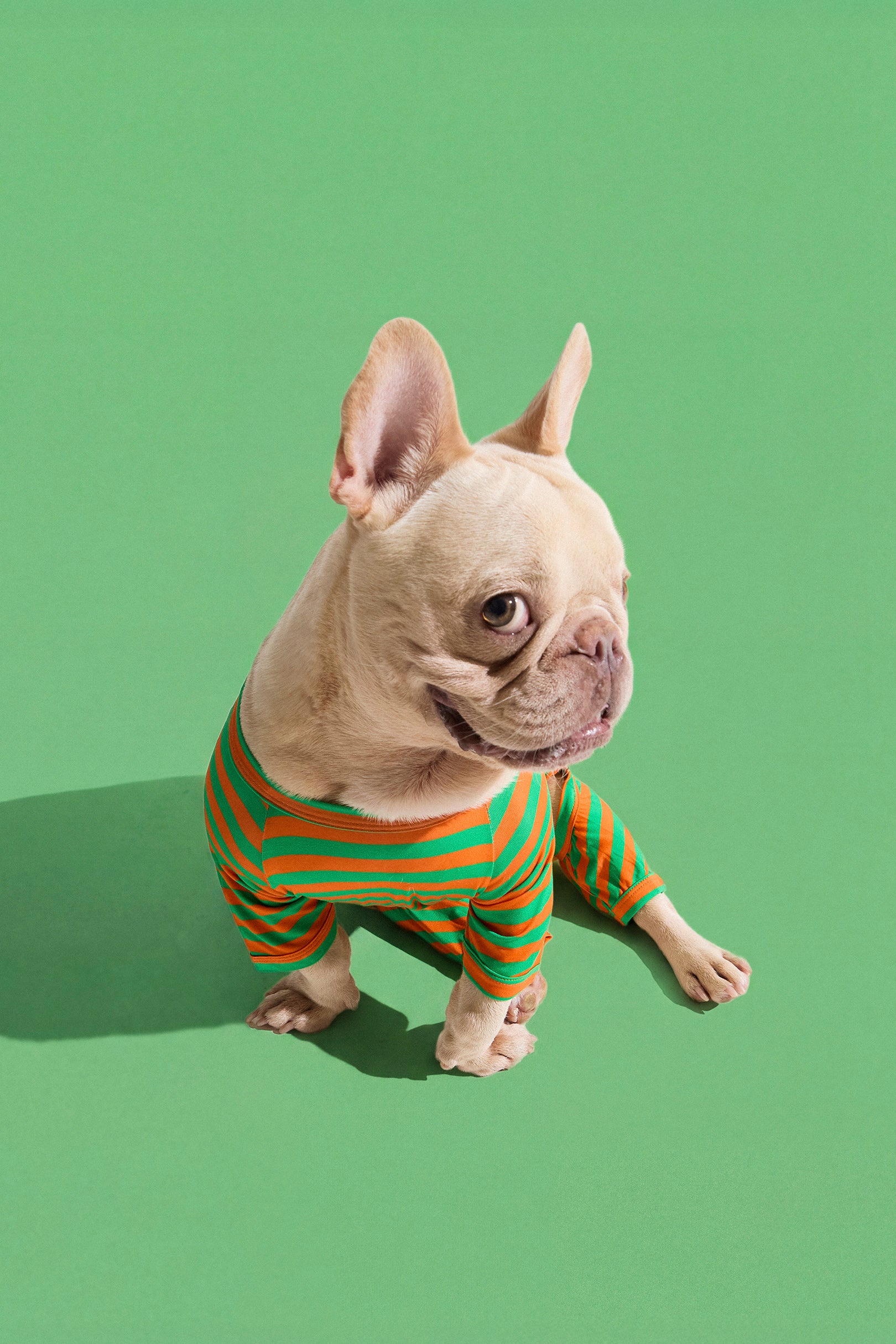 Selenightco x Pat Law Dog Onesie in Carrot
