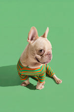 Load image into Gallery viewer, Selenight Co x Pat Law Beach, Please Set in Carrot
