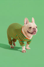 Load image into Gallery viewer, Selenight Co x Pat Law Beach, Please Set in Carrot
