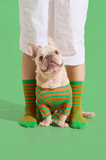 Load image into Gallery viewer, Selenight Co x Pat Law Crew Socks in Carrot
