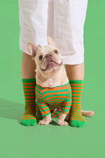 Load image into Gallery viewer, Selenight Co x Pat Law Beach, Please Set in Carrot
