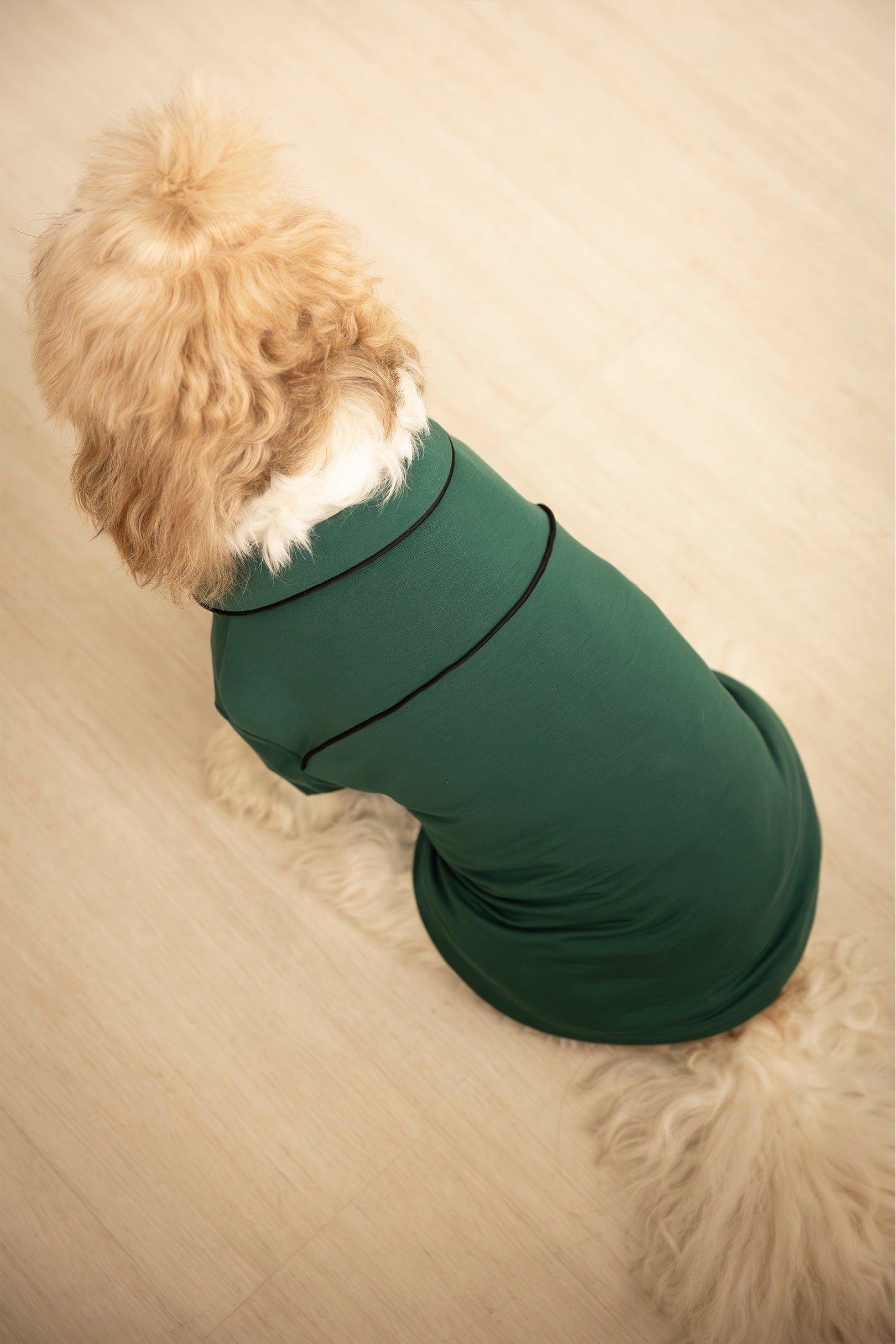 Dog Signature Pyjamas in Pine Green