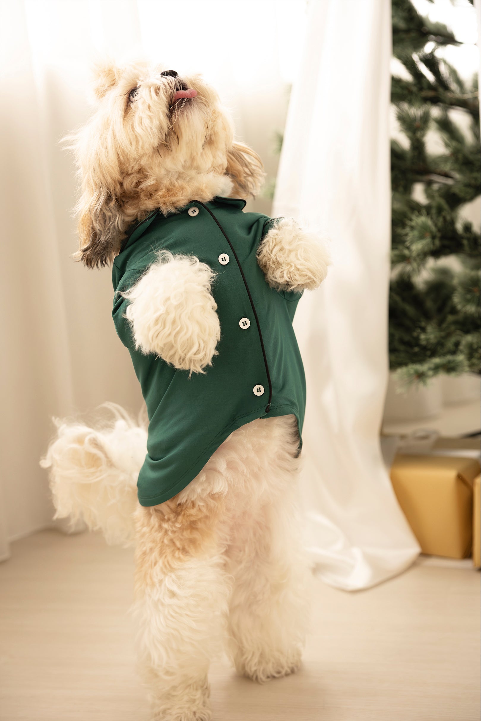 Dog Signature Pyjamas in Pine Green