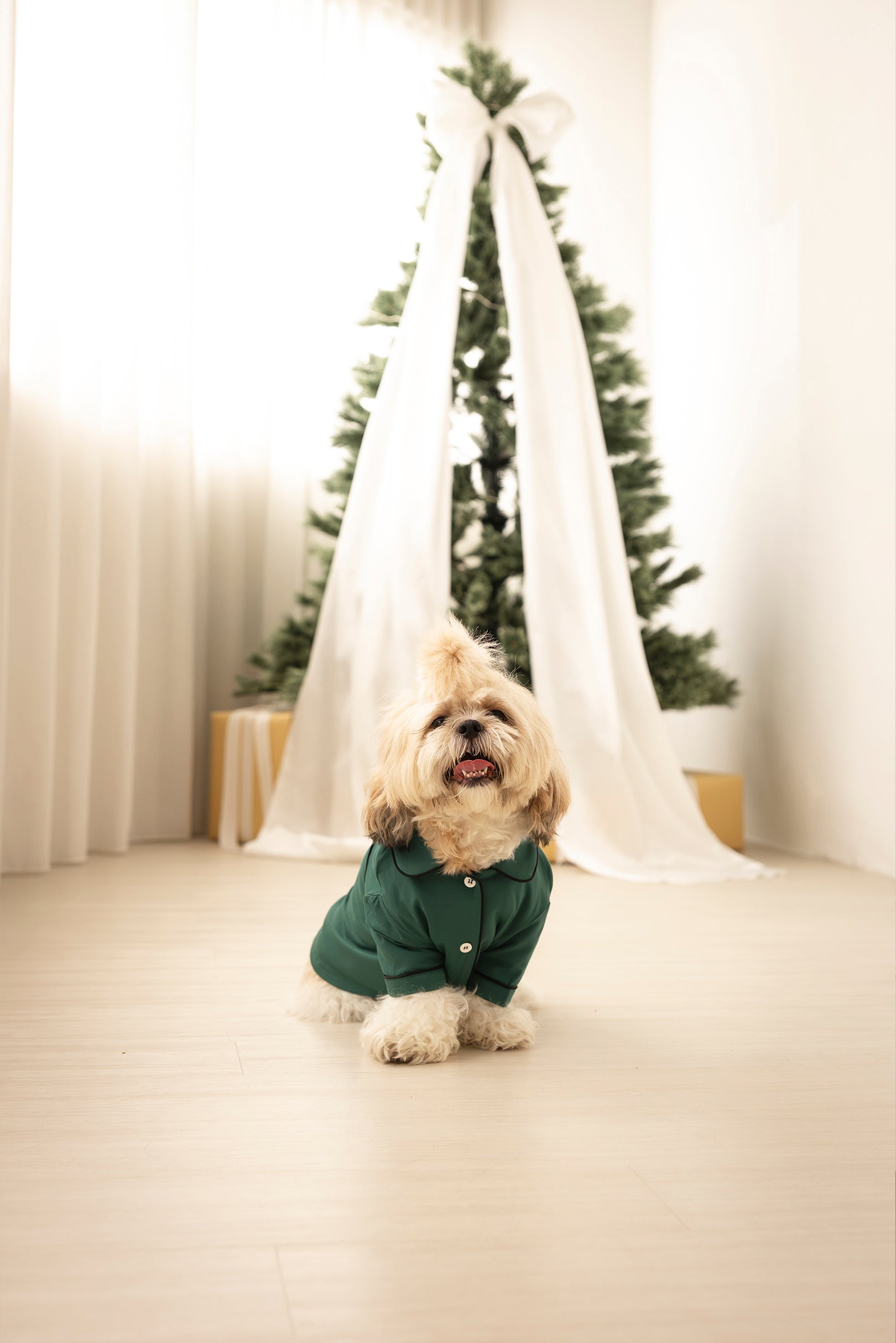 Dog Signature Pyjamas in Pine Green