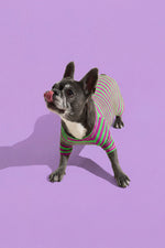 Load image into Gallery viewer, Selenight Co x Pat Law Beach, Please Set in Eggplant
