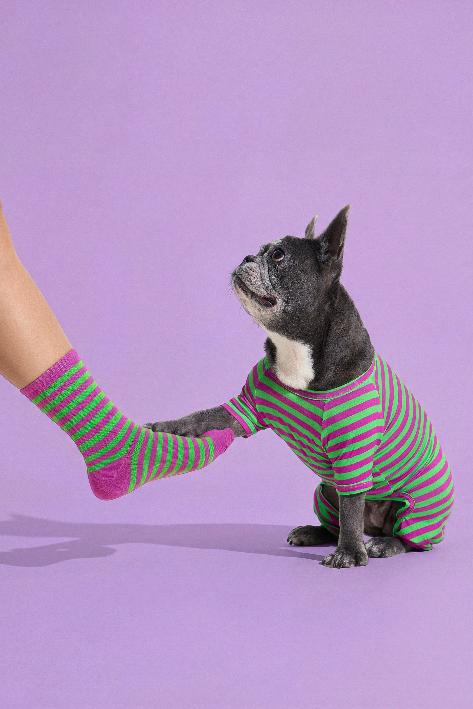 Selenightco x Pat Law Dog Onesie in Eggplant